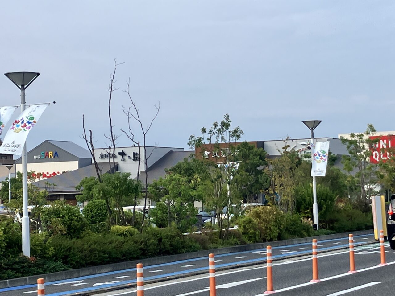 north