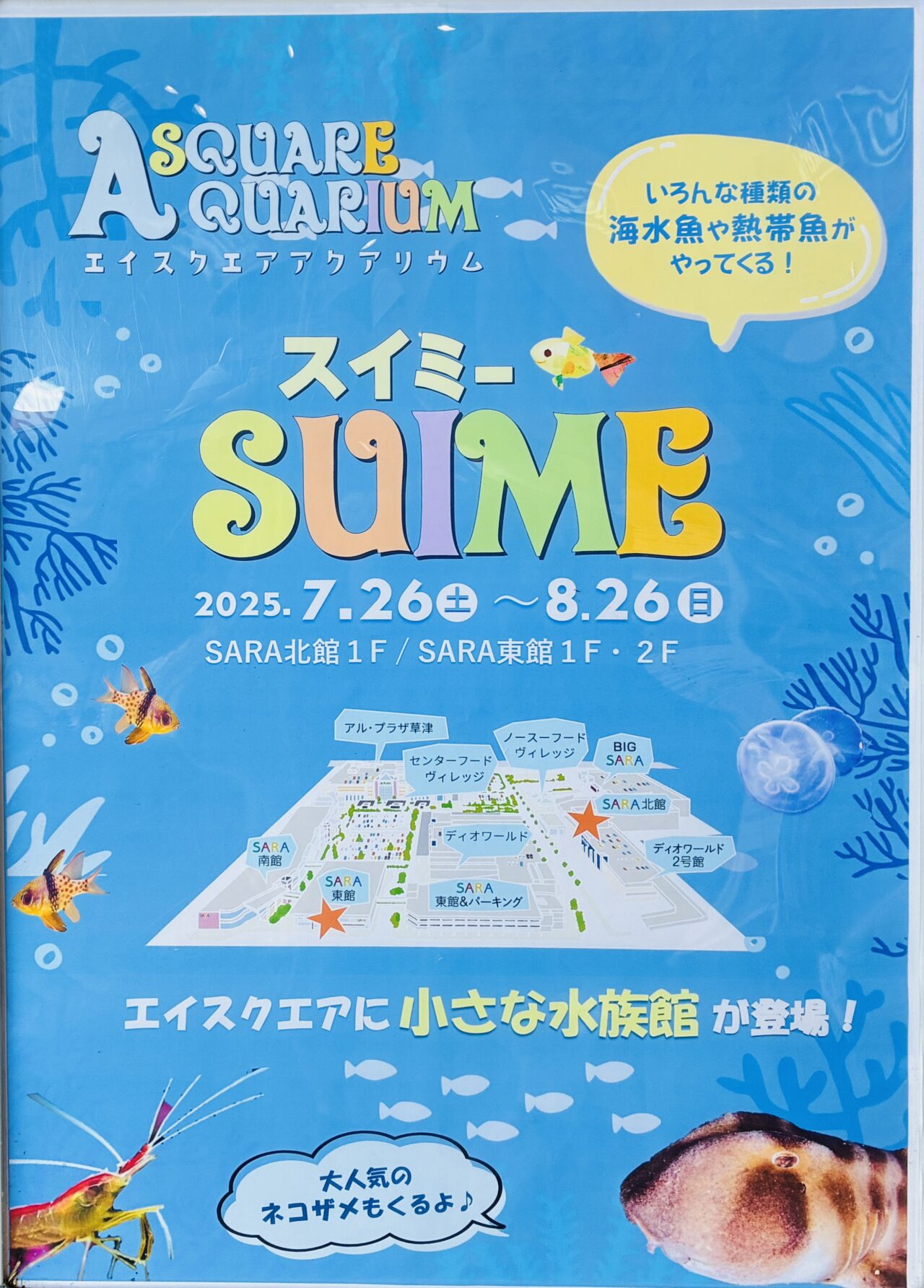 SUIME