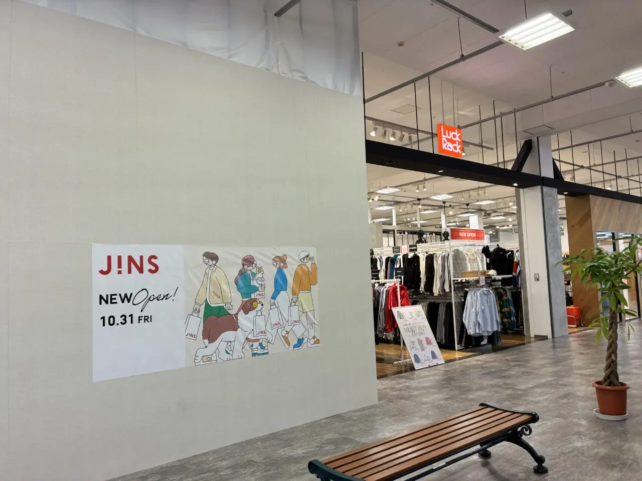 jins1