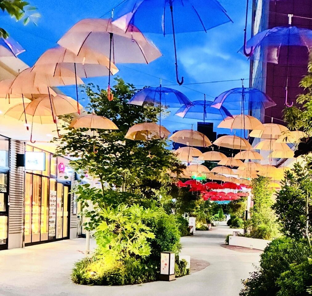 umbrella