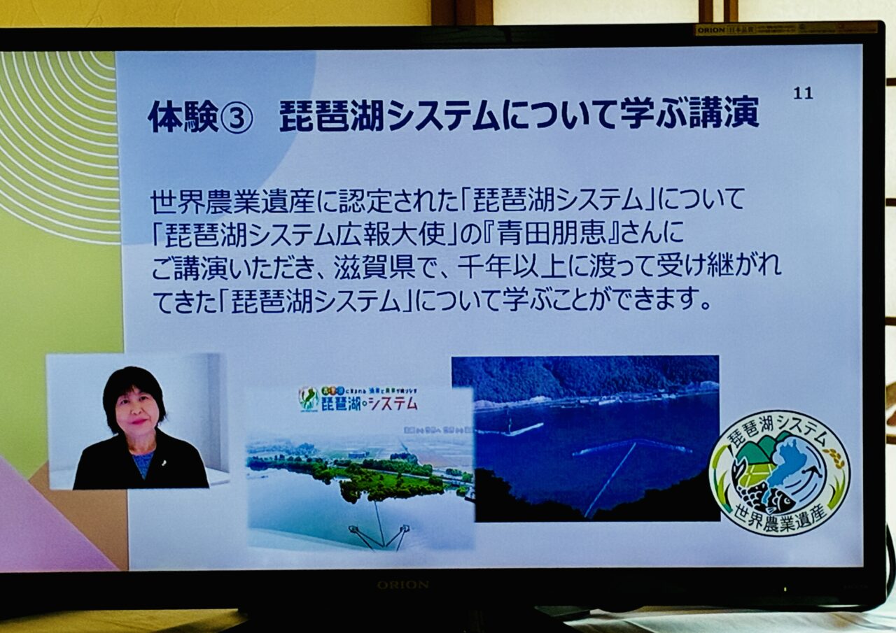 taiken4