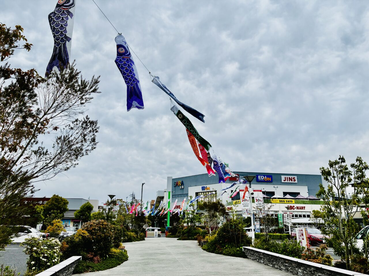 koinobori3