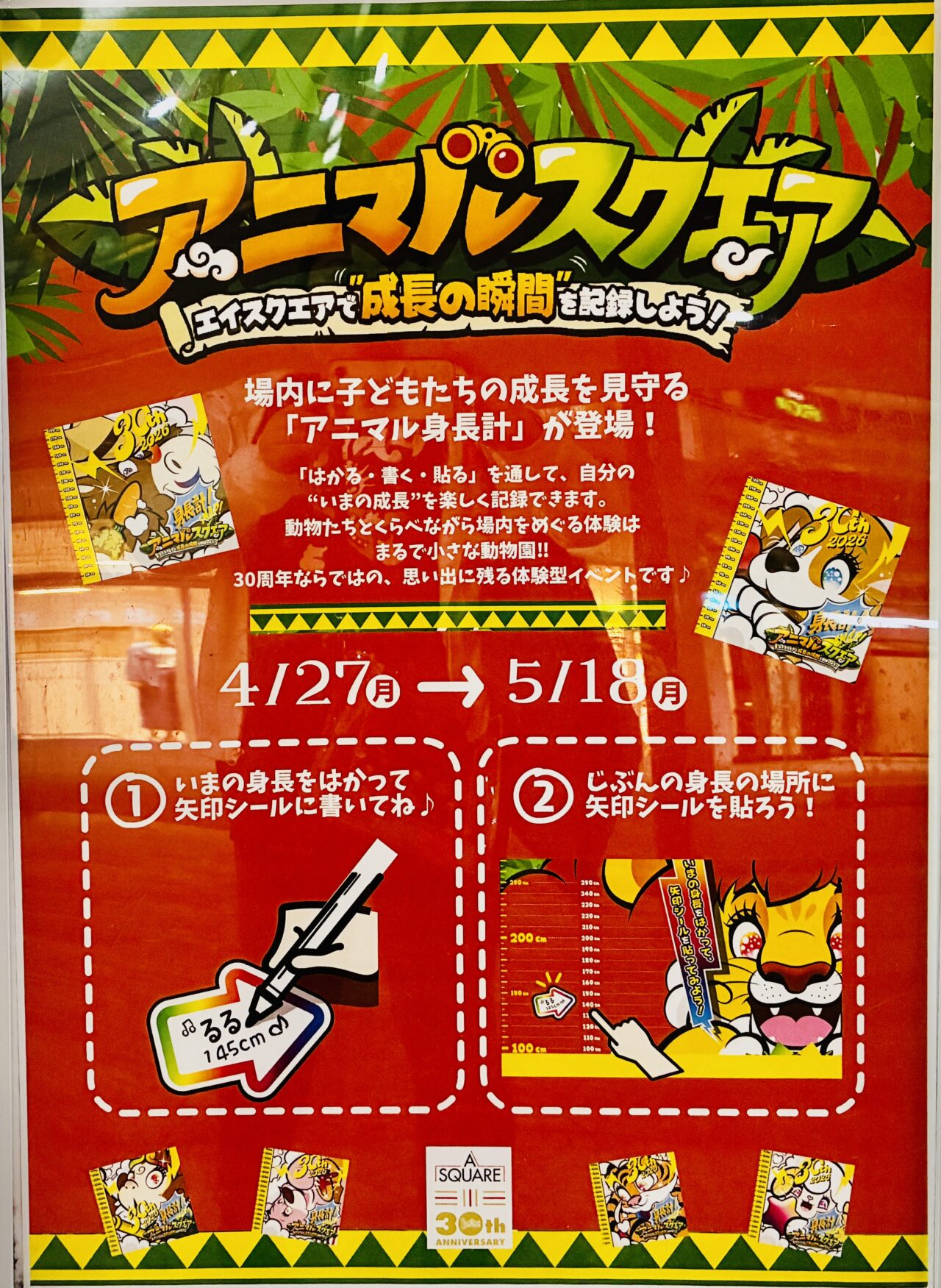 animal poster
