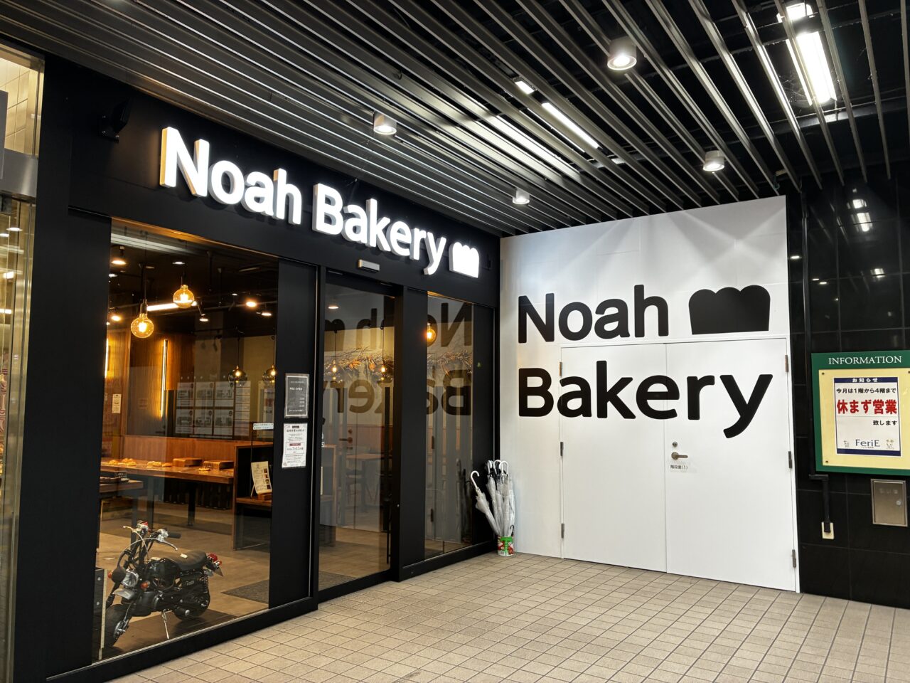 noah1