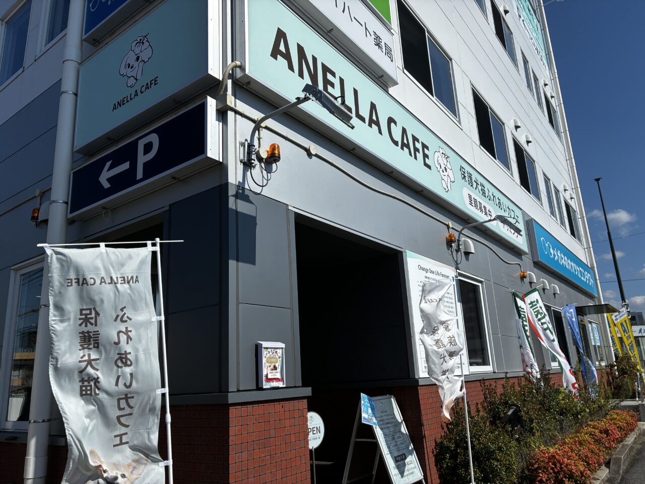 ANELLA２